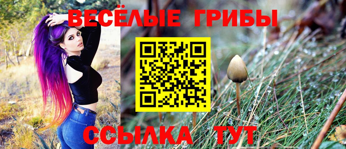 Псилоцибиновые грибы прущие грибы  Галлюциногенные грибы GOLDEN TEACHER  Вход с VPN  Верхний Уфалей 